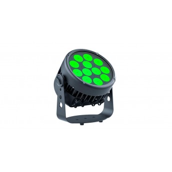 STAGE4 REPAR 12X10FAU IP прожектор LED PAR, 120Вт SLT-5672